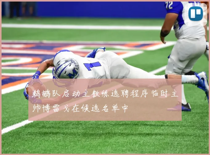 鹈鹕队启动主教练选聘程序临时主帅博雷戈在候选名单中